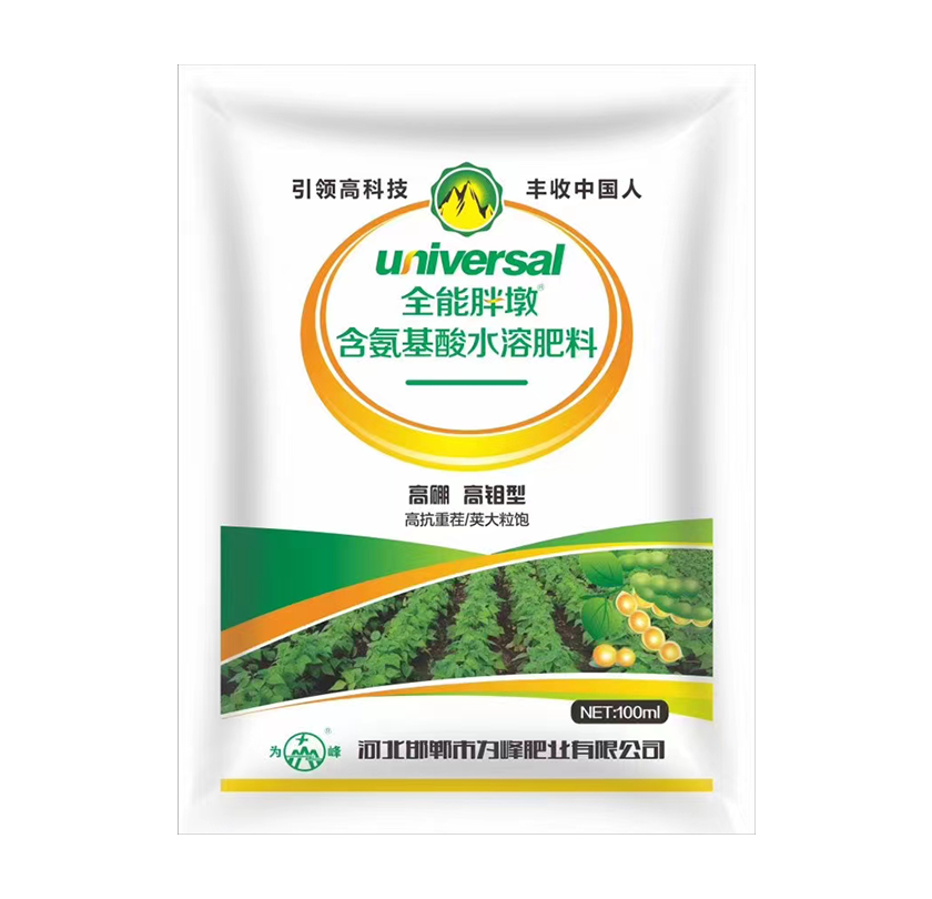 大豆胖墩.png