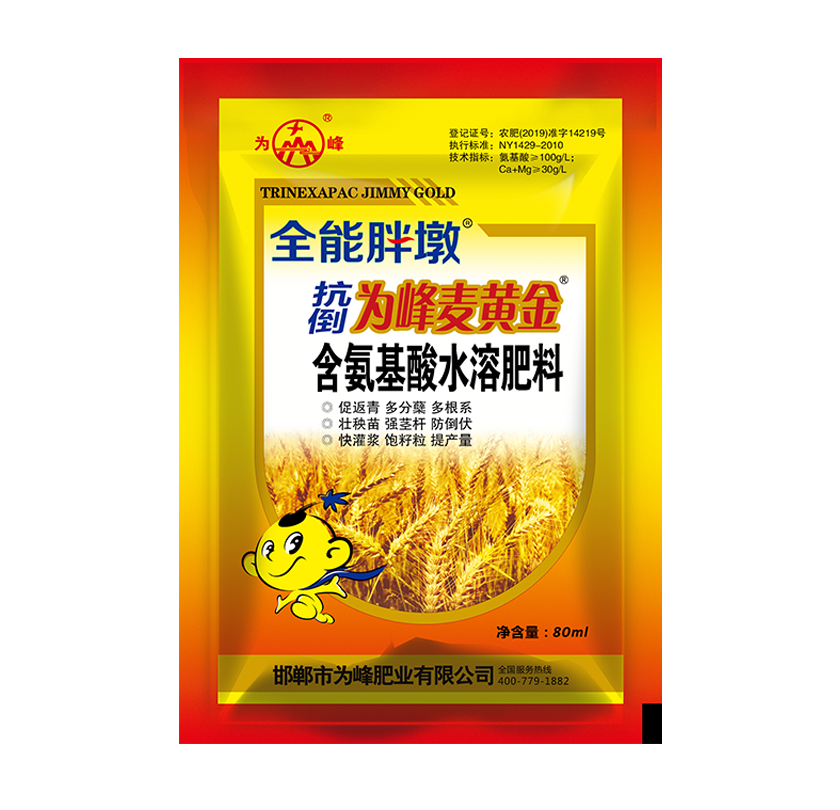 抗倒为峰麦黄金.png