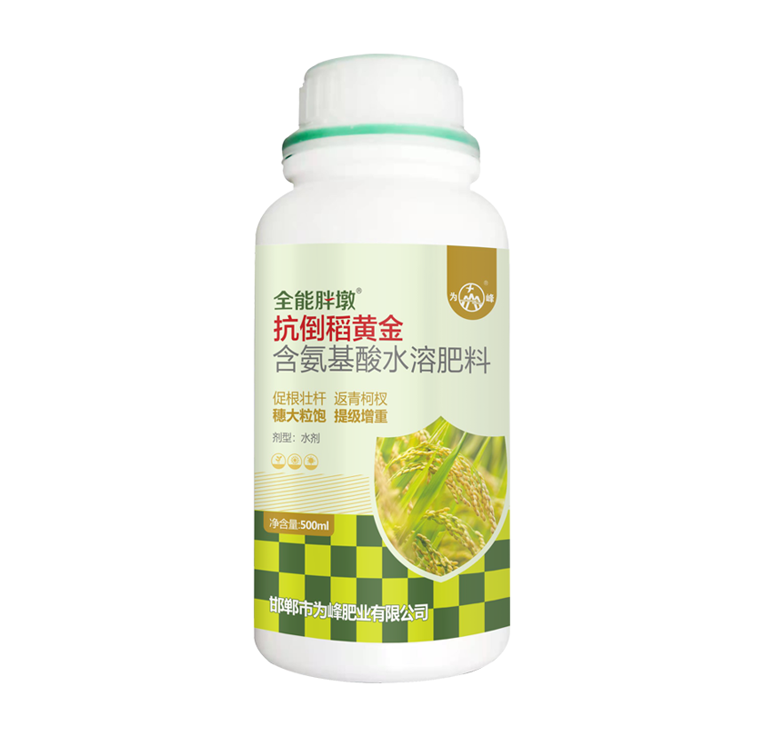 抗倒稻黄金.png