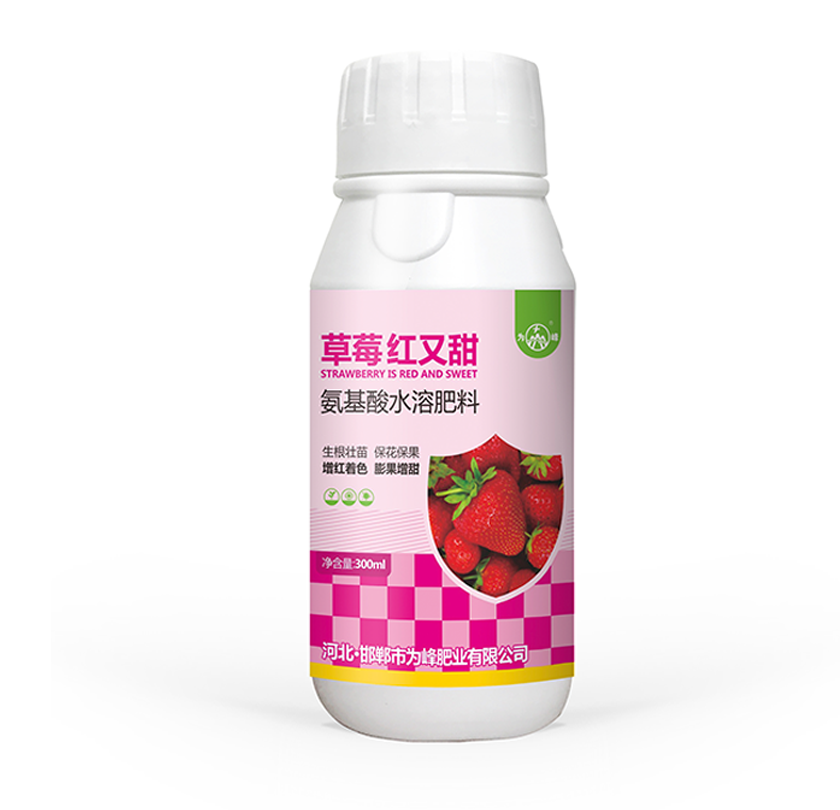 草莓红又甜.png