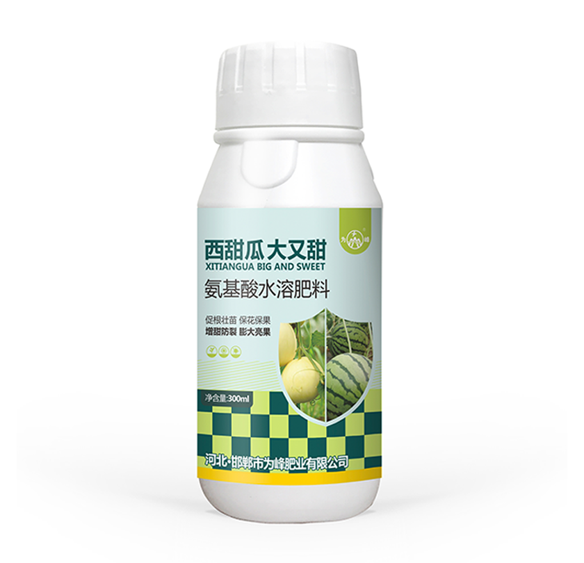 西甜瓜大又甜.png